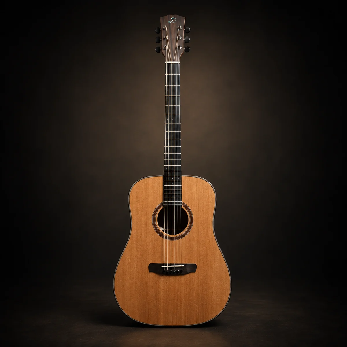 Dowina Sauvignon acoustic guitar
